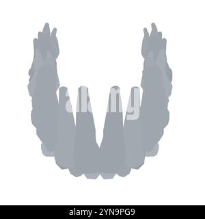 Types de silhouette dentaire. Diverses dents humaines avec racines, molaires, prémolaires, canines. Illustration vectorielle. Illustration de Vecteur