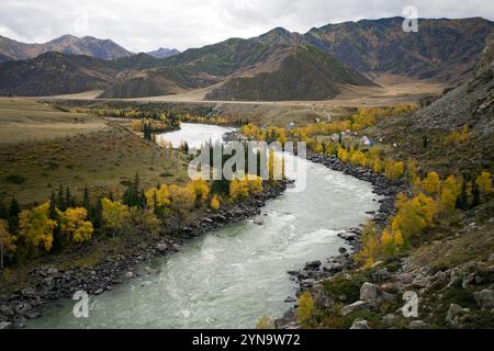 Vue sur la rivière Katun dans la République de l'Altaï, Sibérie. Banque D'Images