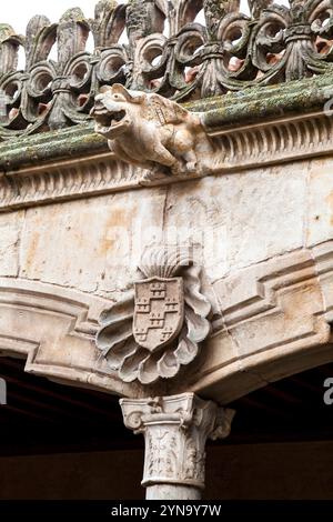 Vue détaillée d'une gargouille perchée sur un bâtiment historique de Salamanque, reflétant le riche patrimoine de la ville. Banque D'Images