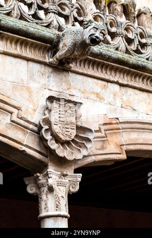 Vue détaillée d'une gargouille perchée sur un bâtiment historique de Salamanque, reflétant le riche patrimoine de la ville. Banque D'Images