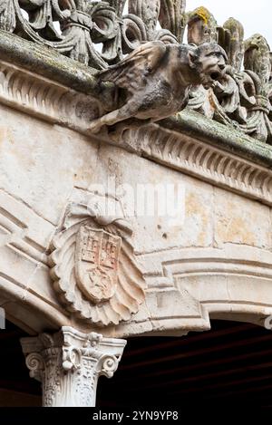 Vue détaillée d'une gargouille perchée sur un bâtiment historique de Salamanque, reflétant le riche patrimoine de la ville. Banque D'Images