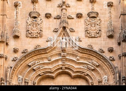 Des détails en pierre élaborés décorent l'entrée de la cathédrale de Salamanque, mettant en valeur la riche histoire et l'artisanat de la ville. Banque D'Images