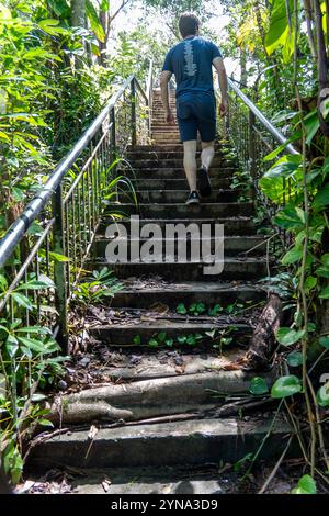 Marcher jusqu'aux marches de pierre à travers la verdure luxuriante à Guam Banque D'Images