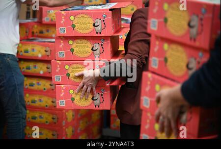 Hambourg, Allemagne. 25 novembre 2024. Les assistants transportent des colis avec un motif d'enfants jaune et rouge dans un entrepôt. Pour Noël, le pacte de ville '#HamburgKyiv' aimerait envoyer 4 000 colis de Noël 'amour dans une boîte' pour enfants avec des jouets, des vêtements, des articles d'hygiène et d'autres articles de tous les jours à Kiev avec le soutien de la ville, des entreprises et des associations caritatives. Crédit : Niklas Graeber/dpa/Alamy Live News Banque D'Images