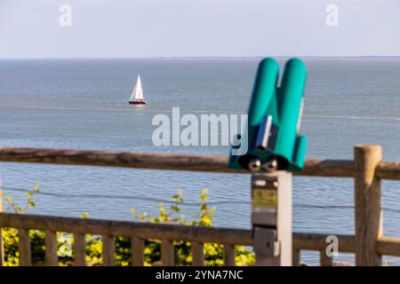 France, Charente-maritime, Saintonge, Côte de beauté, Meschers-sur-Gironde, vue du haut des falaises des grottes de Regulus sur l'estuaire de la Gironde Banque D'Images