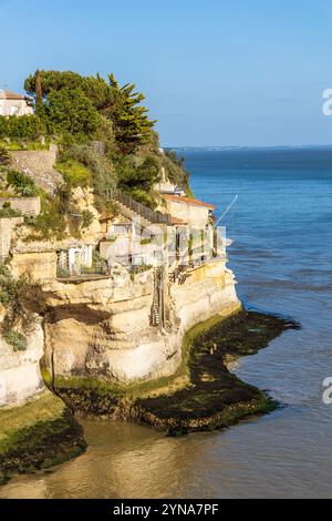 France, Charente-maritime, Saintonge, Côte de beauté, estuaire de la Gironde, Meschers-sur-Gironde, falaises d'habitations troglodytes des grottes de Regulus Banque D'Images