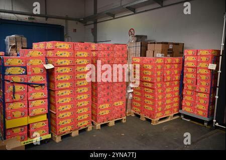 Hambourg, Allemagne. 25 novembre 2024. Plusieurs piles de colis se trouvent les unes à côté des autres dans le Centre de logistique sociale. Pour Noël, le pacte de ville '#HamburgKyiv' veut envoyer 4 000 colis de Noël 'amour dans une boîte' pour enfants contenant des jouets, des vêtements, des articles d'hygiène et d'autres articles quotidiens à Kiev avec le soutien de la ville, des entreprises et des associations caritatives. Crédit : Niklas Graeber/dpa/Alamy Live News Banque D'Images