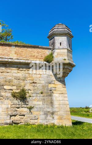 France, Charente-maritime, Saintonge, Brouage, labellisé les plus Beaux villages de France, tour de guet sur les remparts Banque D'Images