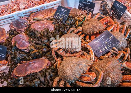 France, Charente-maritime, le Château-d'Oléron, les halles du marché couvert du Château d'Oléron, stand de fruits de mer, crabes et araignées de mer Banque D'Images