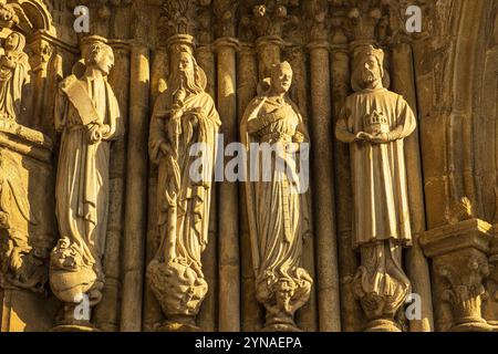 Espagne, Galice, Tui, étape sur la voie centrale portugaise, une des voies vers Saint-Jacques-de-Compostelle, cathédrale Santa Maria du 12ème siècle, détail de la porte gothique principale Banque D'Images