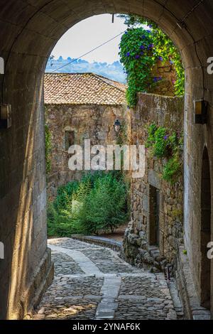 Espagne, Galice, Tui, étape sur la voie centrale portugaise, une des voies vers Santiago de Compostelle, ruelle de la vieille ville Banque D'Images