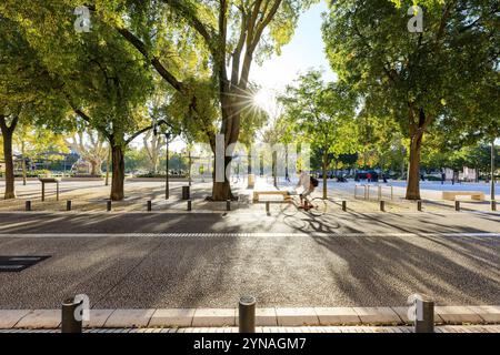 France, Gard (30), Nîmes, esplanade du général de Gaulle, bd de la libération Banque D'Images