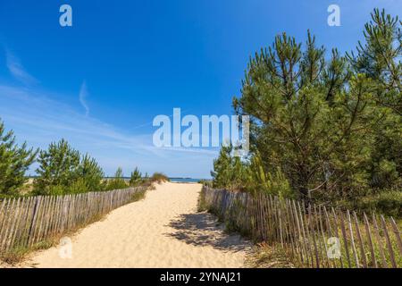 France, Charente-maritime, presqu'île d'Arvert, la Tremblade, détroit de Maumusson de Pertuis, route d'accès à la plage d'Embellie Banque D'Images
