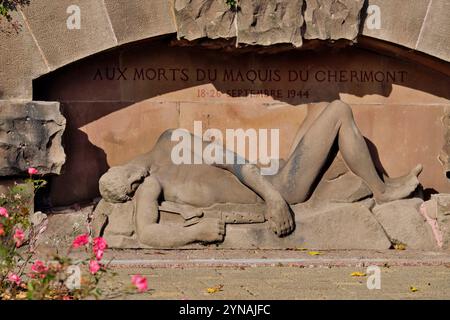 France, haute Saône, Magny Danigon, mémorial en hommage aux victimes du maquis de Cherimont septembre 1944 Banque D'Images