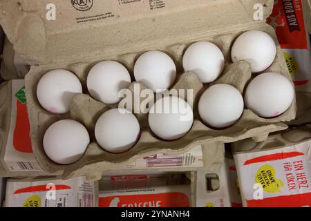 EI vom Huhn bzw Hühner-Eier aus Bodenhaltung im Supermarkt *** oeufs de poulet ou oeufs de grange dans le supermarché Banque D'Images