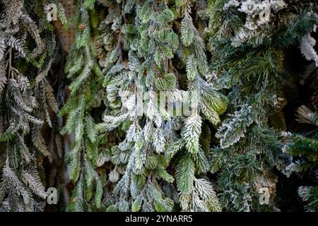 Décorations de noël artificielles sous forme de branches de sapin au marché des arbres de Noël Banque D'Images