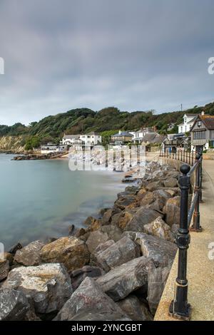 Steephill Cove sur le littoral de l'île de wight, rivage de l'île de wight Royaume-Uni avec des propriétés au bord de l'eau et des rochers au premier plan. Banque D'Images