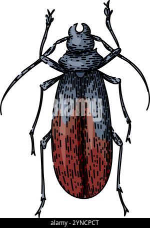 vecteur dessiné à la main par esquisse de scarabée Illustration de Vecteur