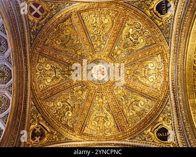Les dômes dorés de la cathédrale Saint-Jean, Valette Malte Banque D'Images