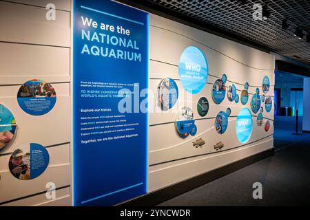 Panneau de bienvenue de l'aquarium national Baltimore // BALTIMORE, Maryland — le panneau de bienvenue de l'aquarium national de Baltimore offre aux visiteurs un aperçu et une introduction à l'institution. Le panneau « We are the National Aquarium » (nous sommes l'aquarium national), bien en vue, explique la mission et le but de l'aquarium aux clients qui viennent d'entrer dans l'établissement. L'Aquarium national, situé dans le port intérieur de Baltimore, est l'un des principaux organismes de conservation aquatique et établissements d'enseignement du pays. Créé en 1981, l'aquarium abrite des milliers d'animaux représentant des centaines d'espèces dans un Banque D'Images