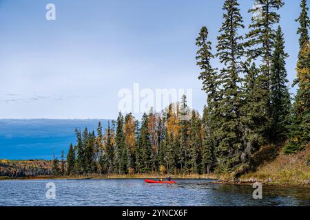 Un canoë flotte sur un lac dans les bois. Le ciel est dégagé et les arbres sont grands Banque D'Images