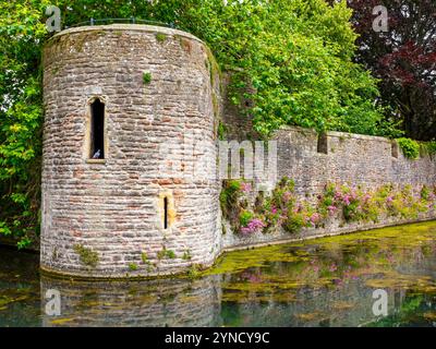 Partie de l'extérieur et du jardin de la résidence du palais épiscopal de l'évêque de Bath et Wells depuis le XIIIe siècle, Wells Somerset UK Banque D'Images