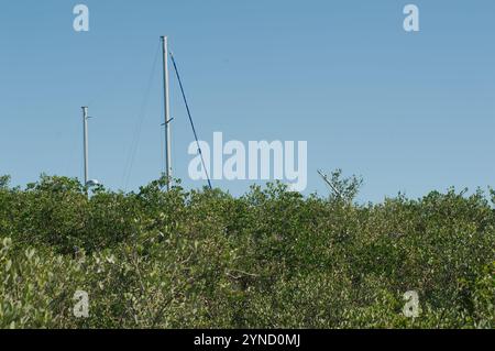 Encadré deux voiliers échoués endommagés mât collant au-dessus des arbres verts à l'arrière vers la baie. Gulfport, Floride par une journée ensoleillée. Banque D'Images