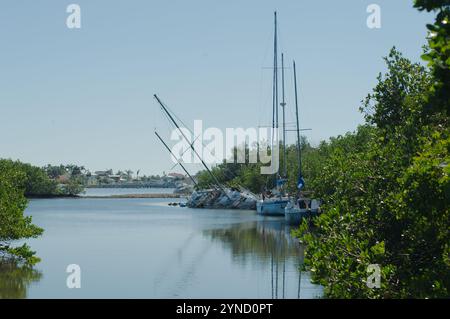 Large vue S courbe sur l'eau de Blue Bay encadrée par des mangroves des deux côtés. Deux voiliers échoués endommagés dans des arbres verts avec un quai à l'arrière vers la baie. Banque D'Images