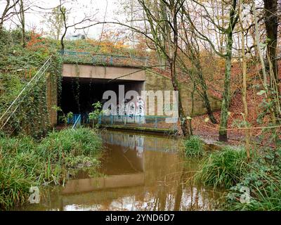 Worsley, Manchester, Royaume-Uni, 24 novembre 2024 : pont couvert de graffitis sur un ruisseau boisé tranquille en automne. Banque D'Images