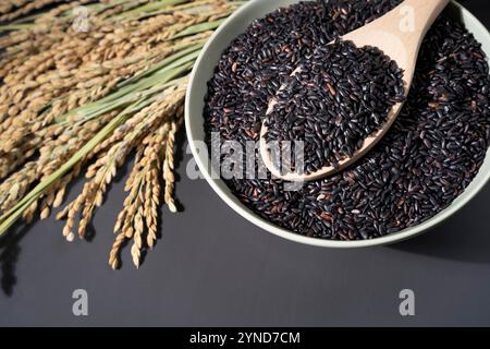 Un bol de riz noir est placé sur une table sombre à côté d'une cuillerée et d'épis de riz. Le riz cru est étalé dans le bol et la cuillère est pleine de bla Banque D'Images