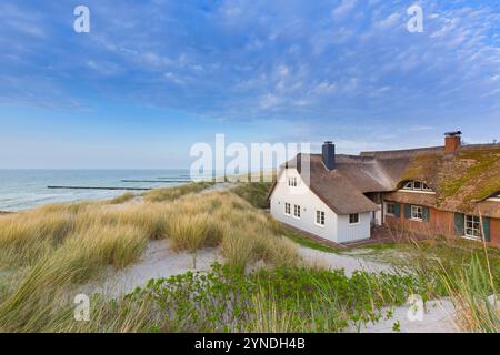 Maison avec toit de chaume dans les dunes à Ahrenshoop sur la péninsule Fischland-Darß-Zingst le long de la mer Baltique, Mecklenburg-Poméranie occidentale, Allemagne Banque D'Images