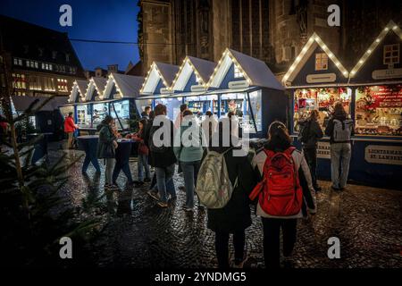 Eröffnung der Weihnachtsmärkte in Münster. Lichtermarkt a préparé Lamberti. Münster, Rhénanie-du-Nord-Westphalie, DEU, Deutschland, 25.11.2024 *** ouverture des marchés de Noël à Münster Lichtermarkt St Lamberti Münster, Rhénanie-du-Nord-Westphalie, DEU, Allemagne, 25 11 2024 Banque D'Images