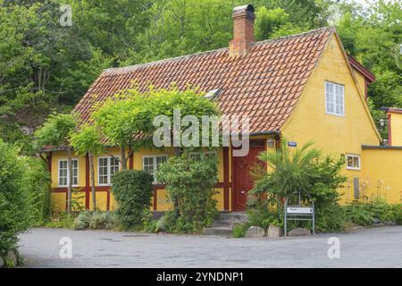 Maison jaune typique à colombages à Gudhjem, Bornholm, mer Baltique, Danemark, Scandinavie, Europe Banque D'Images