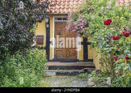 Entrée avec fleurs à la maison jaune à colombages à Gudhjem, Bornholm, mer Baltique, Danemark, Scandinavie, Europe Banque D'Images