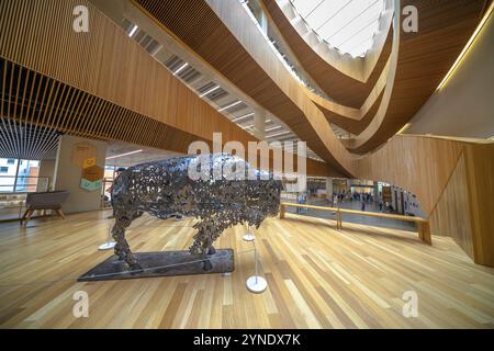 Calgary, Alberta, Canada. 9 août 2024. L'intérieur de la Calgary Central Library, avec une sculpture frappante de bison en métal en son centre. La libr Banque D'Images