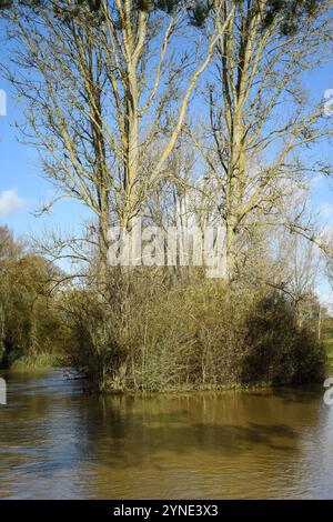 Northamptonshire, Royaume-Uni. 25 novembre 2024. La rivière a éclaté ses banques dans le northamptonshire royaume-uni causant des inondations L'eau de crue couvre les commodités locales et les parcs crédit : Tom Holt / Alamy Live News Banque D'Images