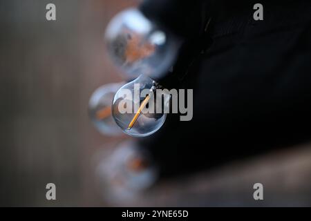 Varsovie, Pologne. 25 novembre 2024. Les décorations de Noël sont vues à la ville se prépare pour la saison de Noël à Varsovie, en Pologne, le 25 novembre 2024. Selon un rapport d'Ipsos, plus d'un tiers des tournées visitant Varsovie viennent de l'étranger, ce qui fait de la ville une alternative viable pour les destiantions de Noël en Europe occidentale. (Photo de Jaap Arriens/Sipa USA) crédit : Sipa USA/Alamy Live News Banque D'Images