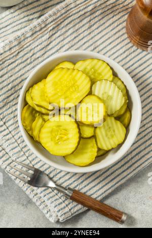 Tranches de cornichon à l'aneth biologique faites maison dans un bol Banque D'Images