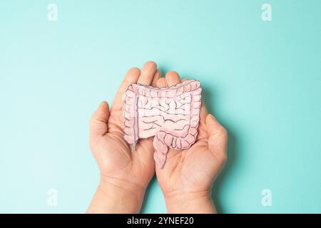 Côlon, cancer colorectal ou rectal, maladie inflammatoire de l'intestin, perte de poids, douleurs abdominales et fatigue, Morbus Crohn, colite ulcéreuse, digestif s Banque D'Images