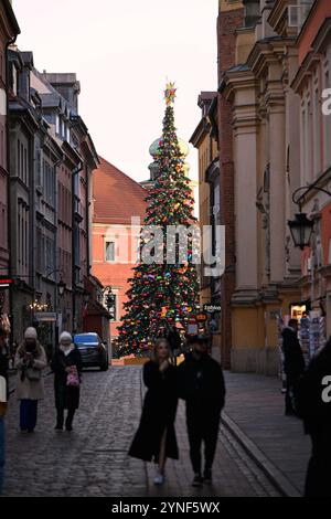 Varsovie, Pologne. 25 novembre 2024. Un arbre de Noël est vu dans la vieille ville de Varsovie, Pologne, le 25 novembre 2024. Crédit : Jaap Arriens/Xinhua/Alamy Live News Banque D'Images