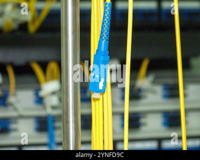 Les câbles à fibres optiques jaune vif sont connectés à des connecteurs bleus dans un centre de données. Le paramètre comporte plusieurs unités de stockage de données en arrière-plan Banque D'Images