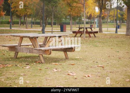 Une scène de parc automnale sereine présentant de belles tables de pique-nique entourées de feuilles mortes, Banque D'Images