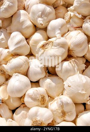 Gousses d'ail, marché le samedi, Ostuni, Brindisi Province, Région des Pouilles, Italie Banque D'Images