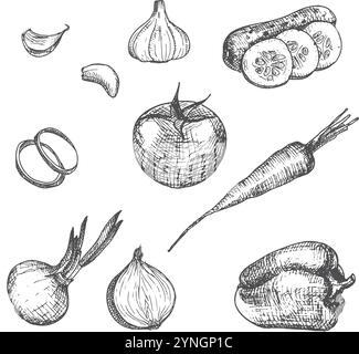 Ensemble de légumes dessinés à la main. Illustration vectorielle d'encre. Conception pour le menu de café de restaurant de livraison, livre de recettes et marché de fermiers Illustration de Vecteur