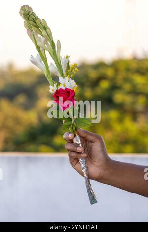 La main d'une femme tient un beau bouquet de roses rouges et de fleurs blanches tubéreuses parfumées avec des bourgeons. Un cadeau parfait pour une occasion spéciale. Banque D'Images