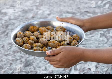 La main d'une femme tenant un plat en argent rempli d'olives séchées au soleil, prêt à faire du cornichon d'olive. Banque D'Images