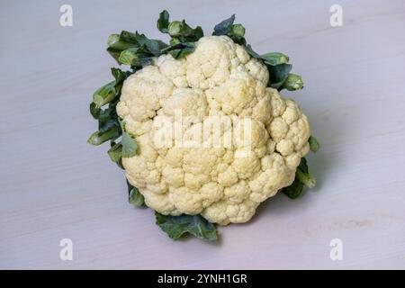 Un chou-fleur fraîchement récolté, scientifiquement connu sous le nom de Brassica oleracea, exposé sur une surface en bois clair. Banque D'Images