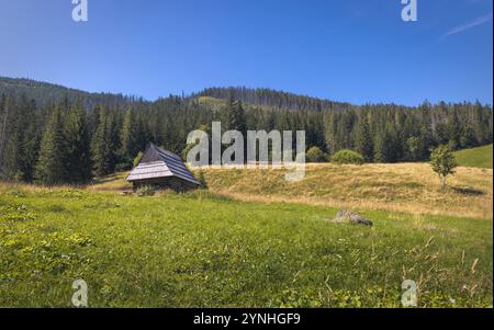 Une cabane rustique nichée dans le paysage idyllique du parc national des Tatra, en Pologne, entourée d'une végétation luxuriante et d'arbres imposants, sous un SK bleu vif Banque D'Images