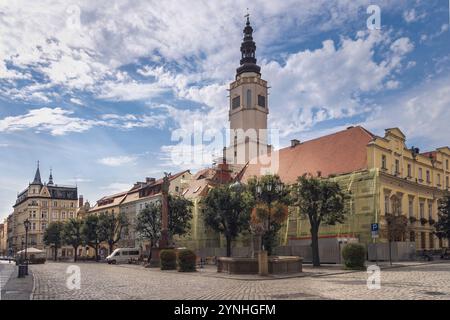 La mairie de Swidnica se dresse grandiose sous un ciel lumineux, mettant en valeur son architecture historique, la Pologne Banque D'Images