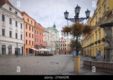 Des chemins pavés sillonnent la vieille ville animée de Swidnica, invitant les visiteurs à explorer, Pologne Banque D'Images
